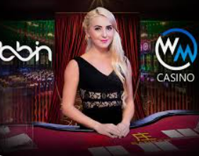 彩777ccapp最新版下载2024最新版